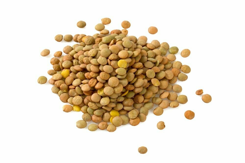 Lentils-image