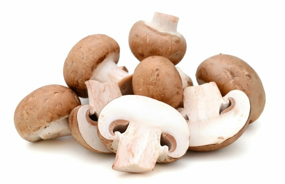 Mushrooms-image
